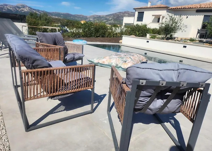 Vila Dima - Piscine Chauffee Climatisation Barbecue Petanque